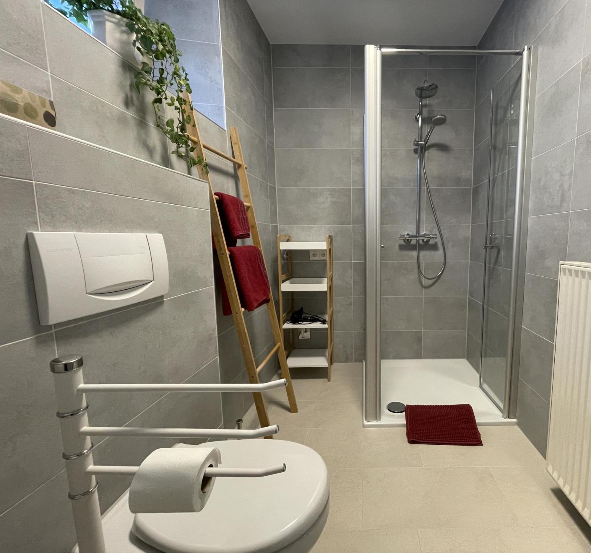 Ferienwohnung Haus Gaenseplatz فولكاخ المظهر الخارجي الصورة