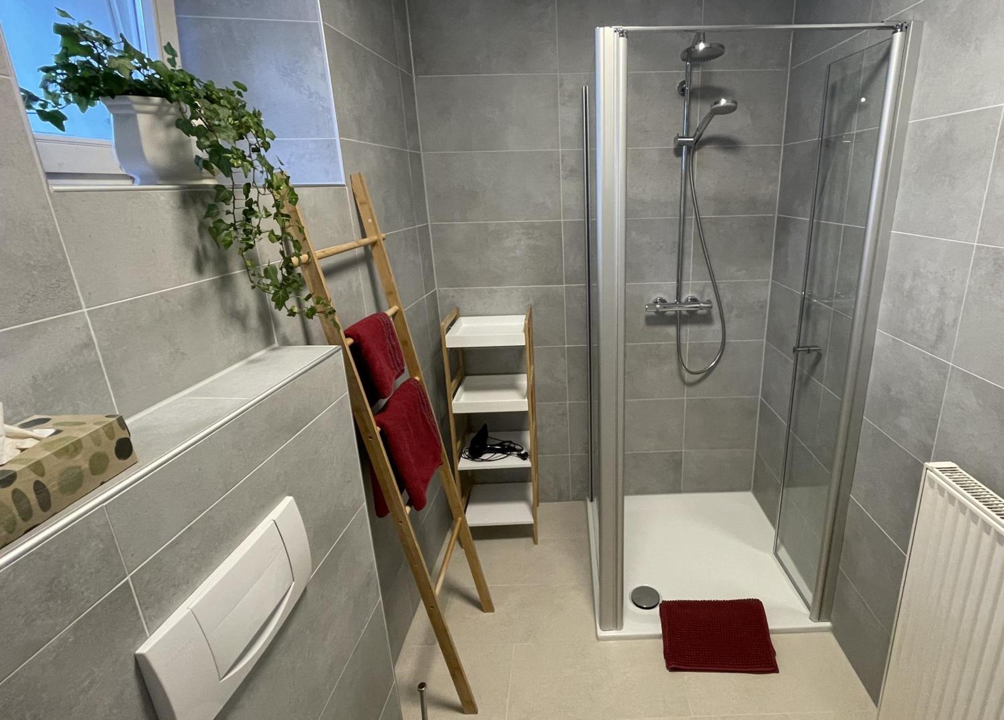 Ferienwohnung Haus Gaenseplatz فولكاخ المظهر الخارجي الصورة